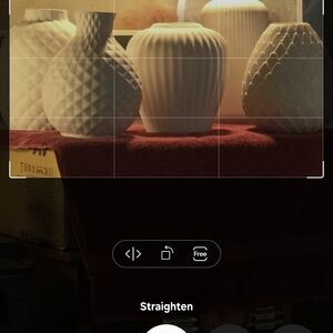 Source Unknown Textured White Vases